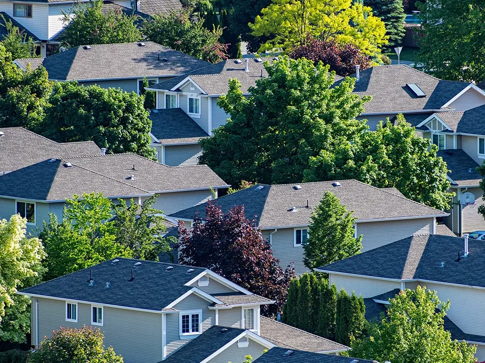 Aerial view of rows of gray-roofed houses among green trees in a suburban neighborhood