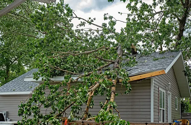 Large tree branches fallen across the roof of a house after a storm